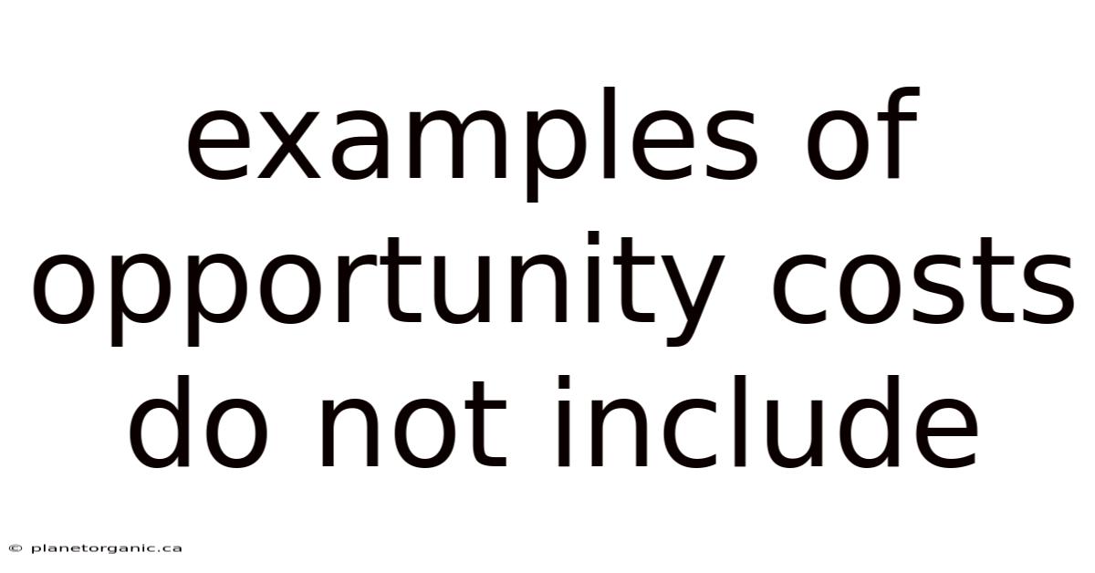 Examples Of Opportunity Costs Do Not Include