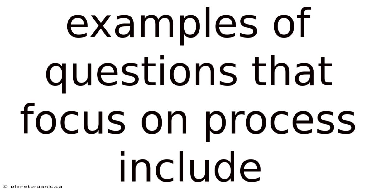 Examples Of Questions That Focus On Process Include