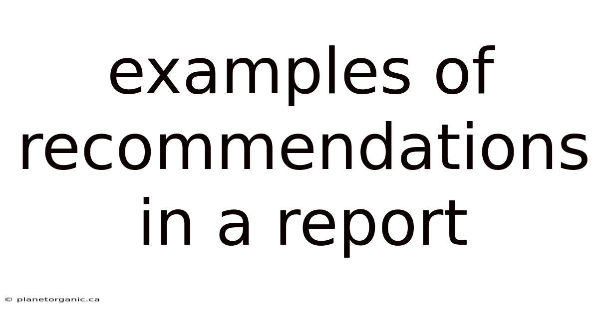Examples Of Recommendations In A Report