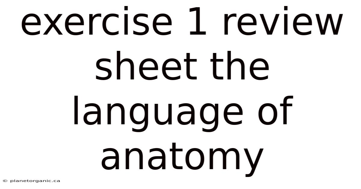 Exercise 1 Review Sheet The Language Of Anatomy