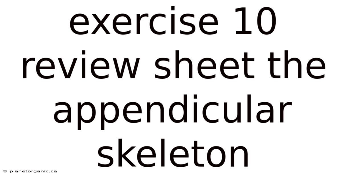 Exercise 10 Review Sheet The Appendicular Skeleton