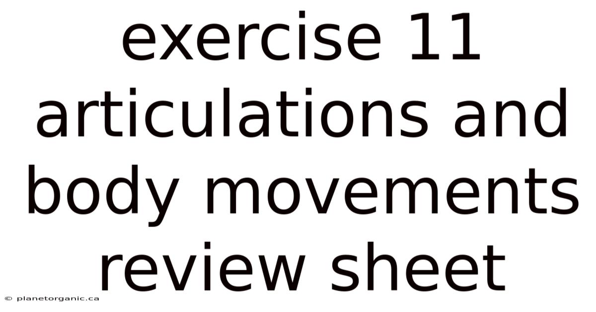 Exercise 11 Articulations And Body Movements Review Sheet