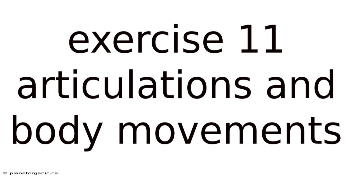 Exercise 11 Articulations And Body Movements