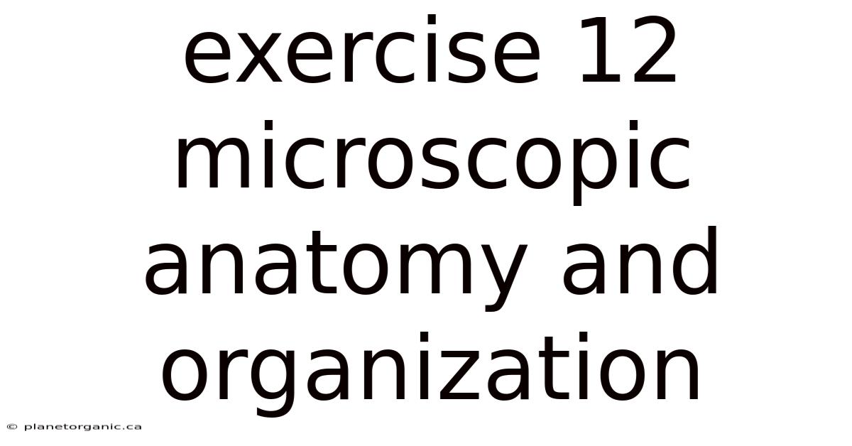 Exercise 12 Microscopic Anatomy And Organization