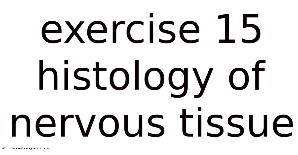 Exercise 15 Histology Of Nervous Tissue