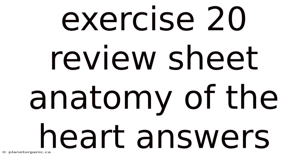 Exercise 20 Review Sheet Anatomy Of The Heart Answers
