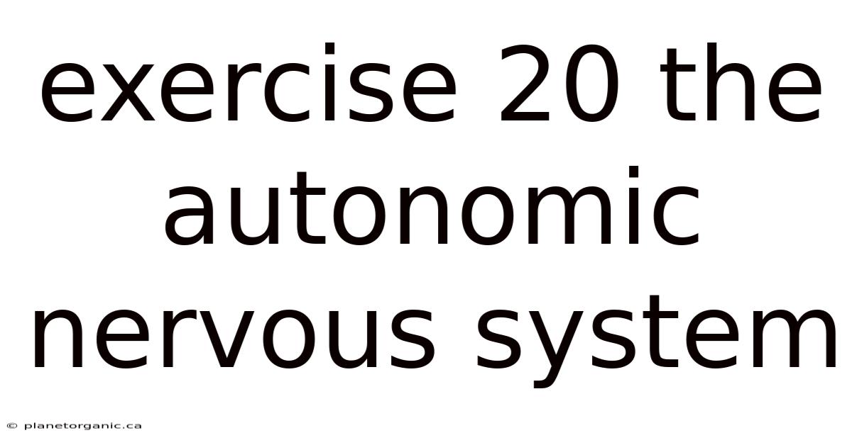 Exercise 20 The Autonomic Nervous System