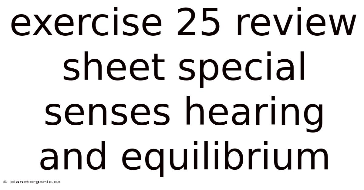 Exercise 25 Review Sheet Special Senses Hearing And Equilibrium