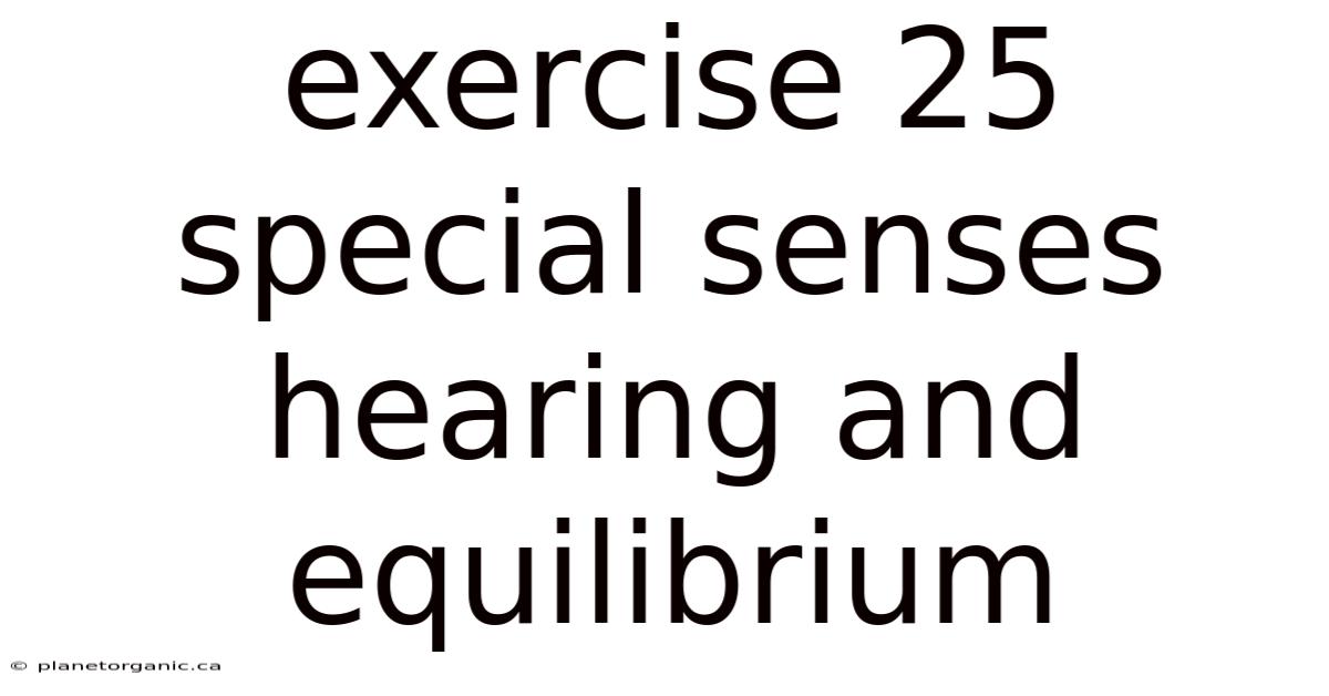 Exercise 25 Special Senses Hearing And Equilibrium