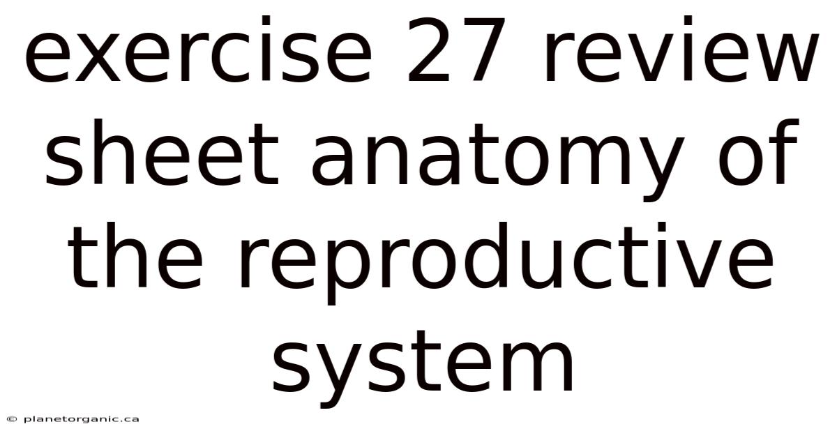 Exercise 27 Review Sheet Anatomy Of The Reproductive System