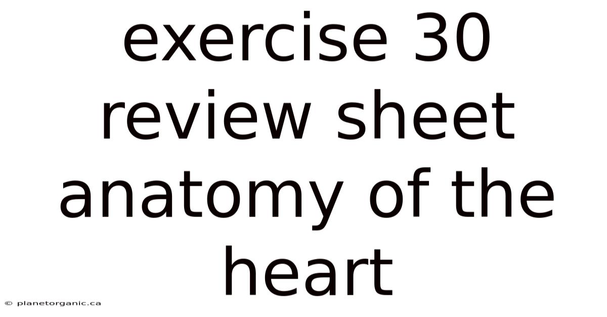 Exercise 30 Review Sheet Anatomy Of The Heart