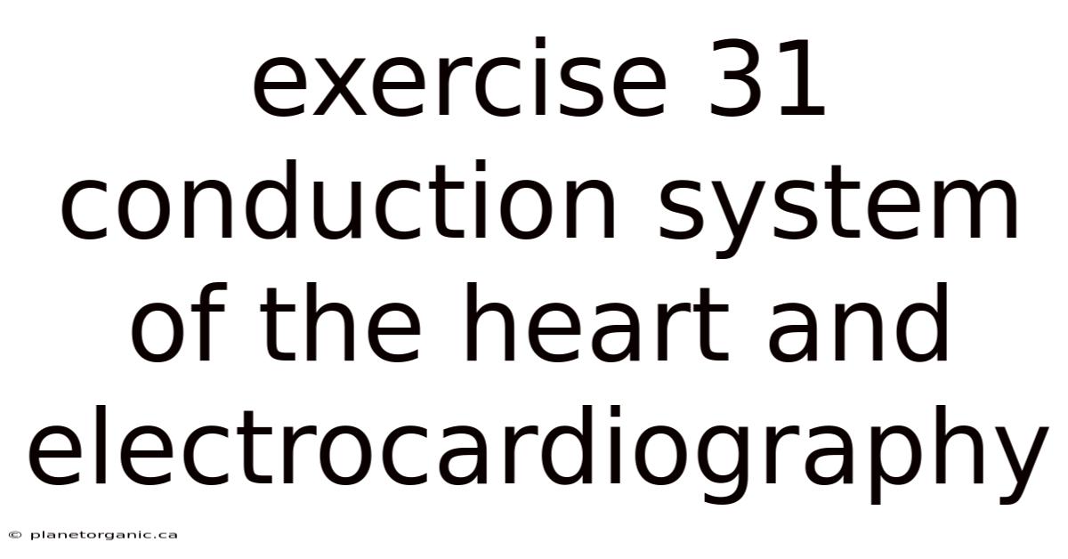 Exercise 31 Conduction System Of The Heart And Electrocardiography