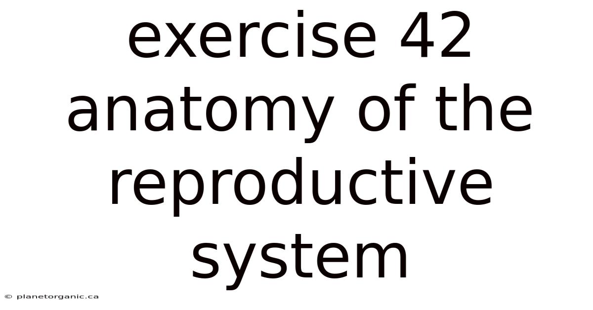 Exercise 42 Anatomy Of The Reproductive System