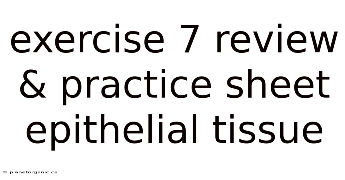 Exercise 7 Review & Practice Sheet Epithelial Tissue