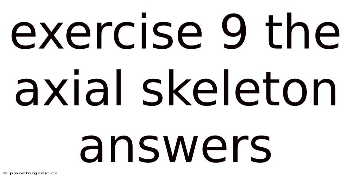 Exercise 9 The Axial Skeleton Answers