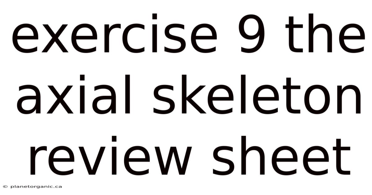 Exercise 9 The Axial Skeleton Review Sheet
