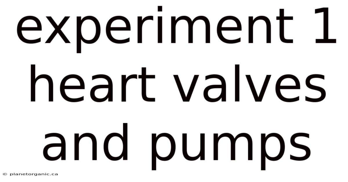 Experiment 1 Heart Valves And Pumps