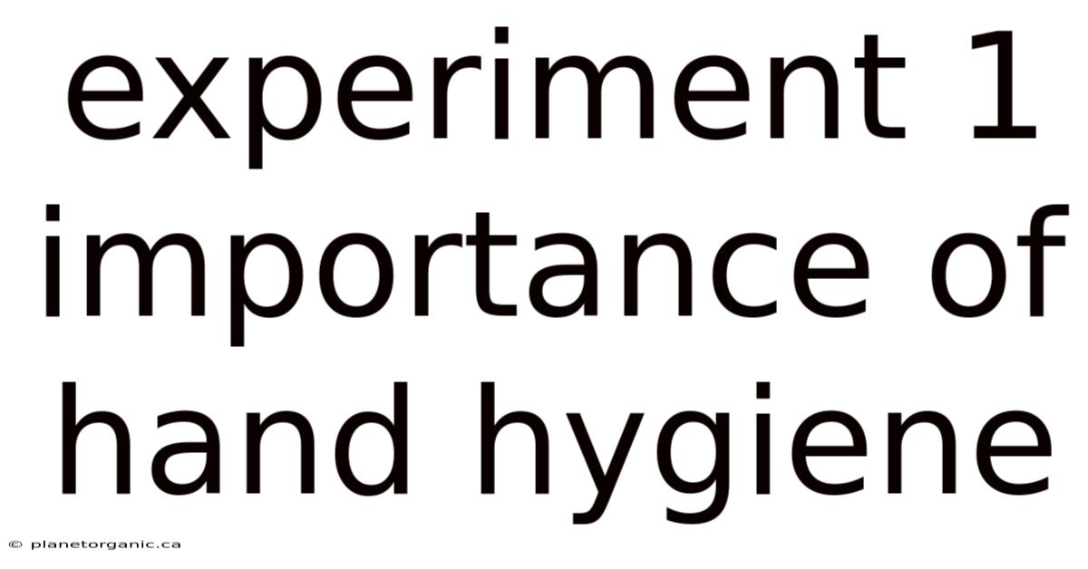 Experiment 1 Importance Of Hand Hygiene