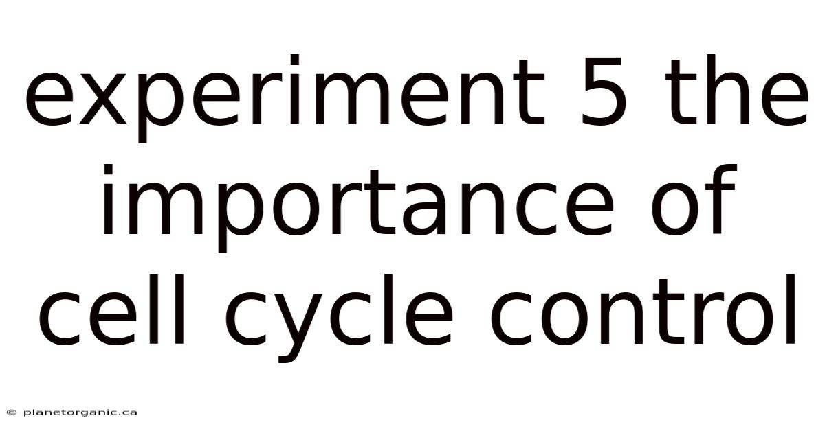 Experiment 5 The Importance Of Cell Cycle Control
