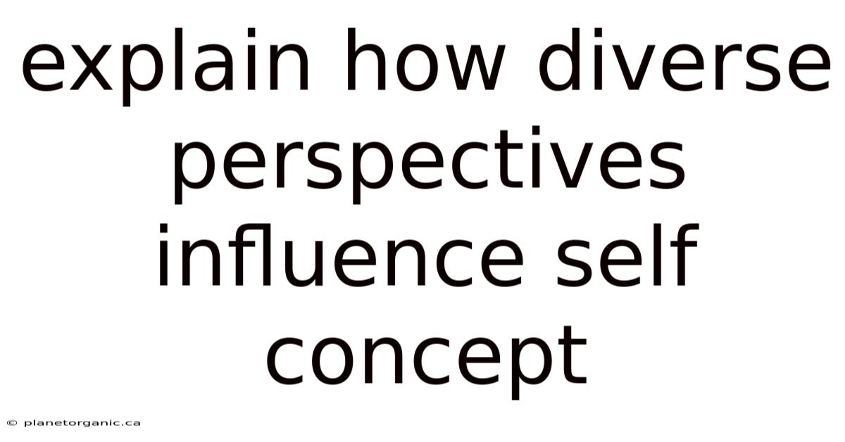 Explain How Diverse Perspectives Influence Self Concept