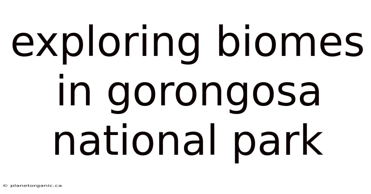 Exploring Biomes In Gorongosa National Park