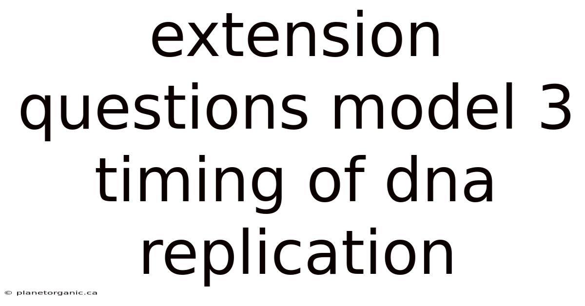 Extension Questions Model 3 Timing Of Dna Replication