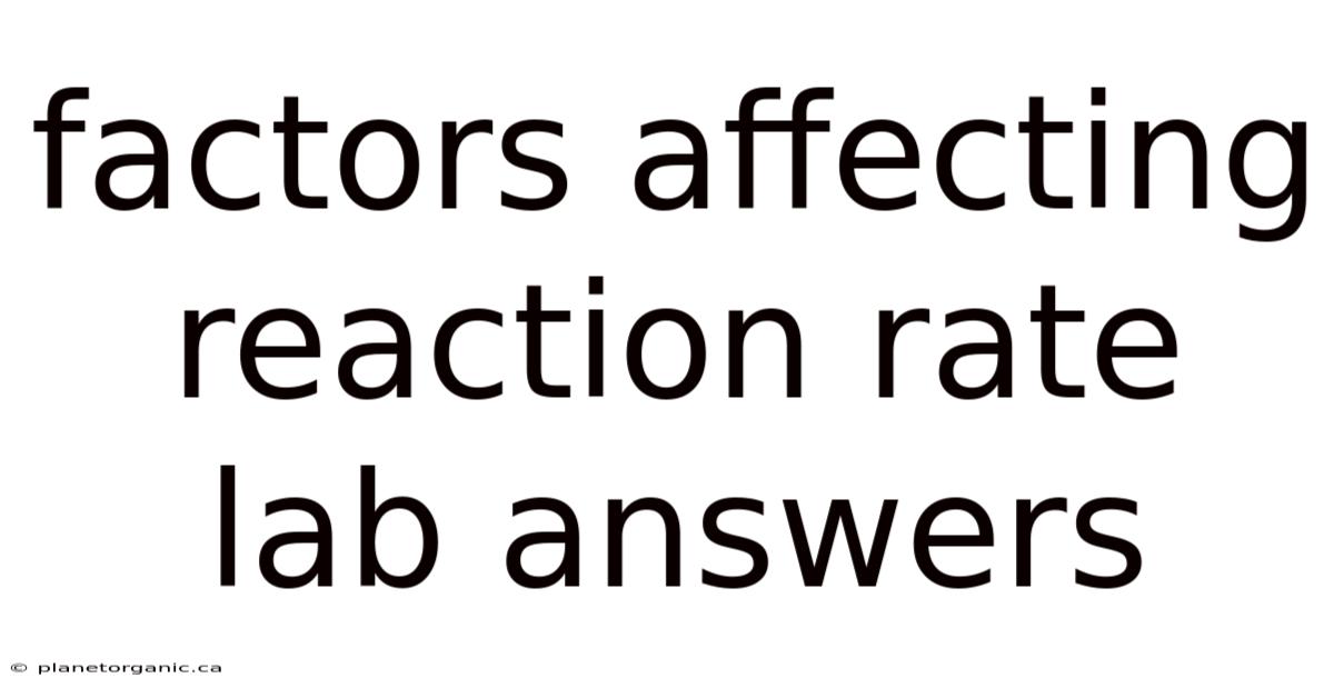 Factors Affecting Reaction Rate Lab Answers