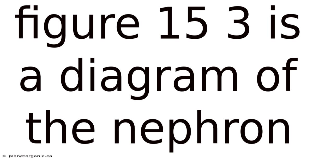 Figure 15 3 Is A Diagram Of The Nephron