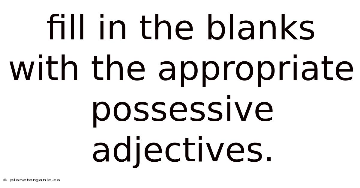 Fill In The Blanks With The Appropriate Possessive Adjectives.