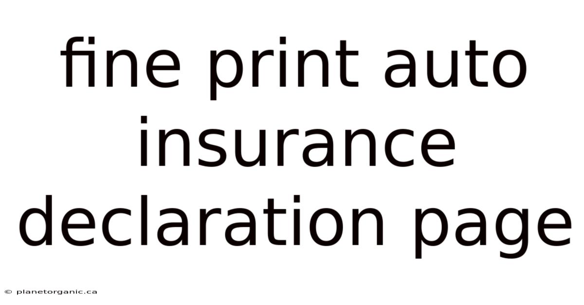 Fine Print Auto Insurance Declaration Page