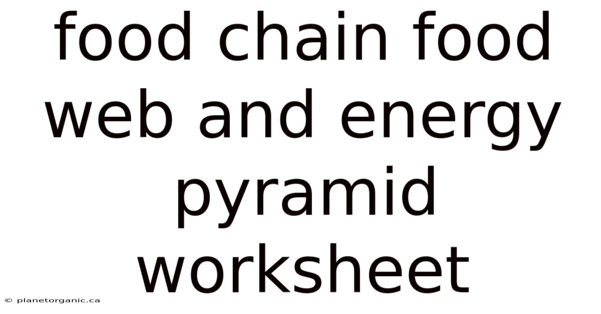 Food Chain Food Web And Energy Pyramid Worksheet