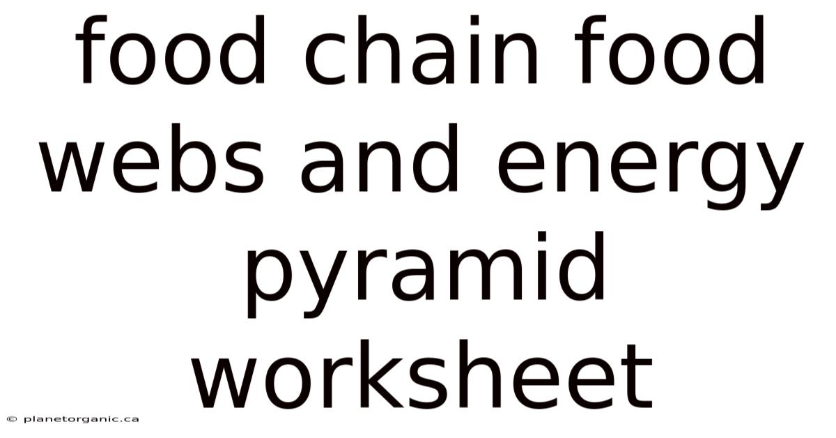 Food Chain Food Webs And Energy Pyramid Worksheet