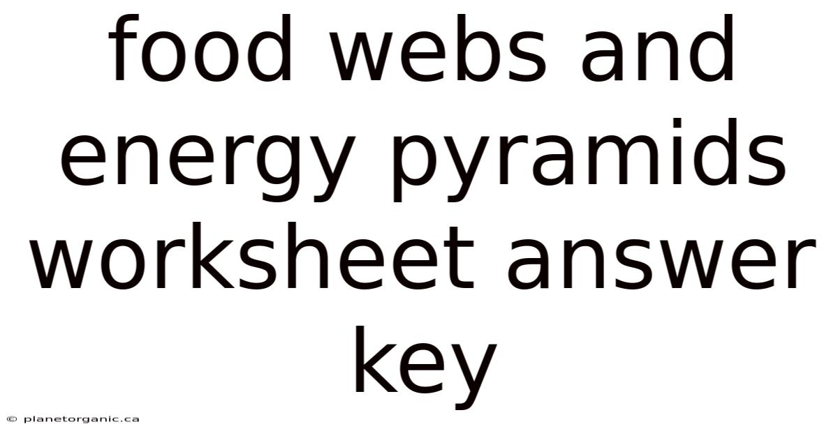 Food Webs And Energy Pyramids Worksheet Answer Key