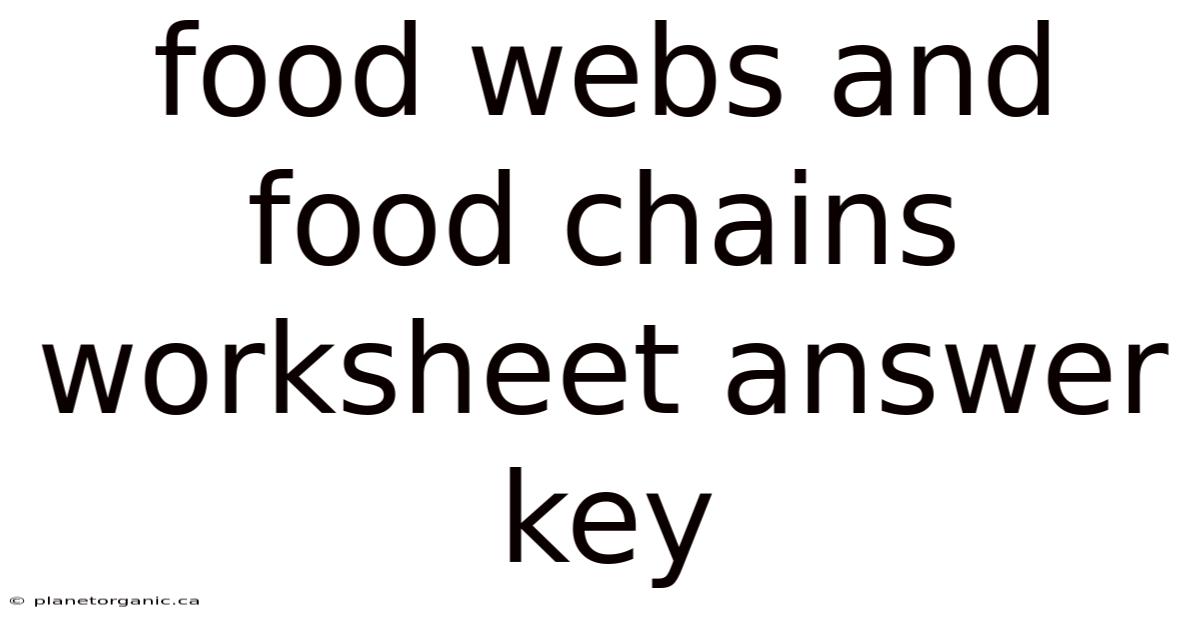 Food Webs And Food Chains Worksheet Answer Key