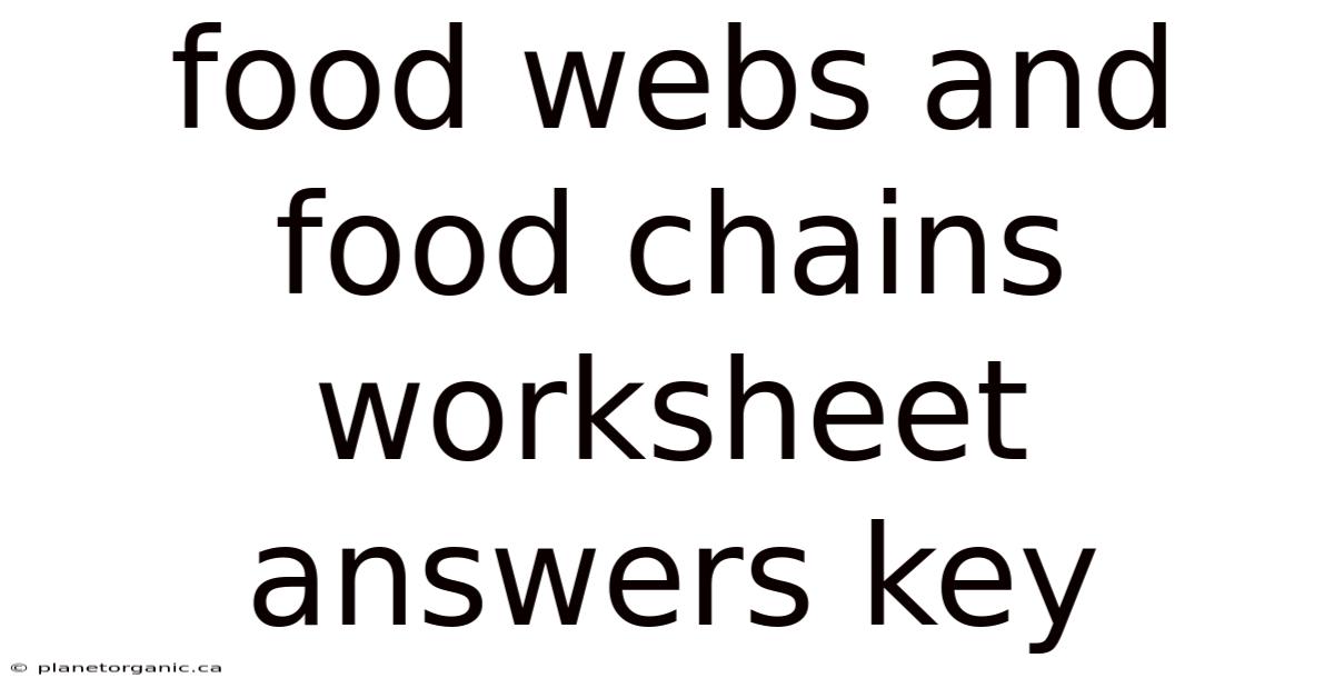 Food Webs And Food Chains Worksheet Answers Key