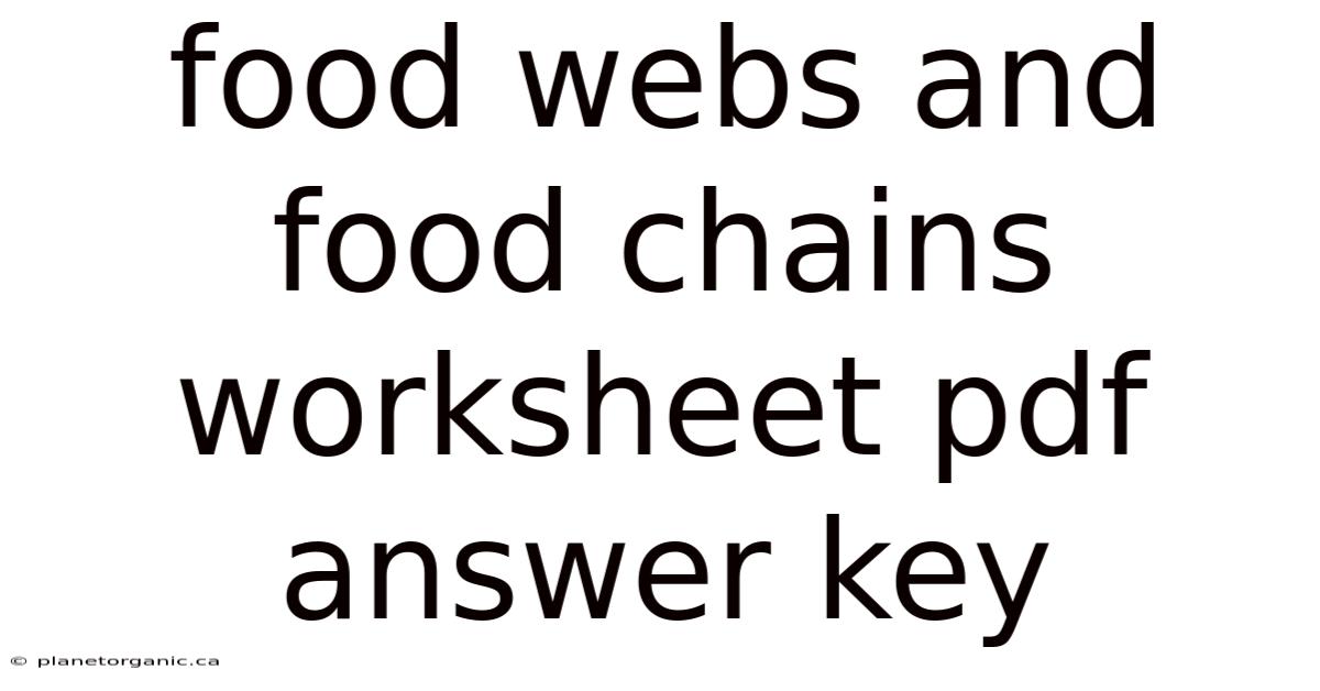 Food Webs And Food Chains Worksheet Pdf Answer Key