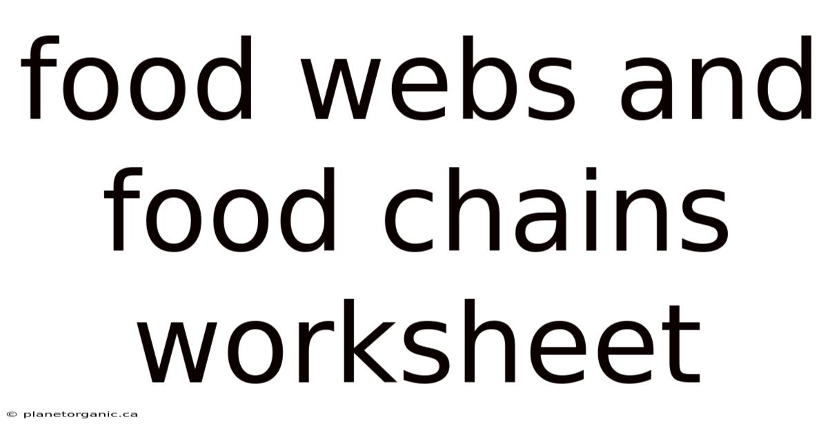 Food Webs And Food Chains Worksheet