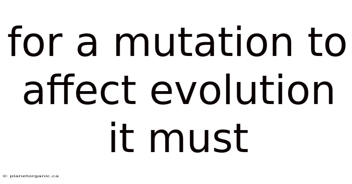 For A Mutation To Affect Evolution It Must