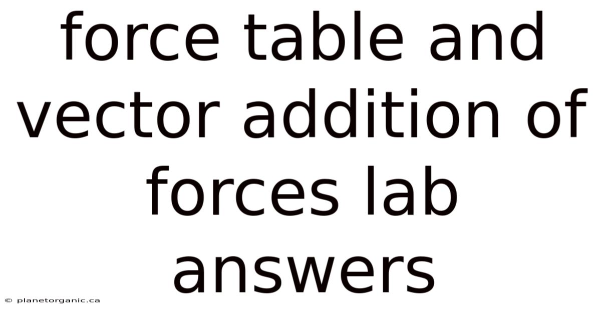 Force Table And Vector Addition Of Forces Lab Answers