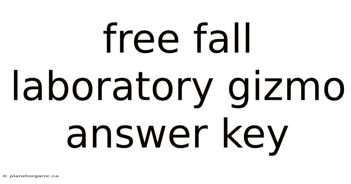 Free Fall Laboratory Gizmo Answer Key