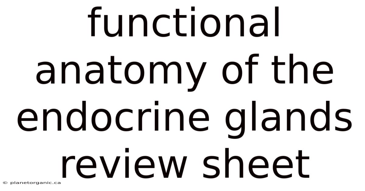 Functional Anatomy Of The Endocrine Glands Review Sheet