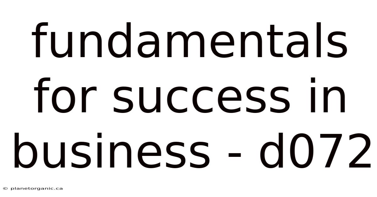 Fundamentals For Success In Business - D072