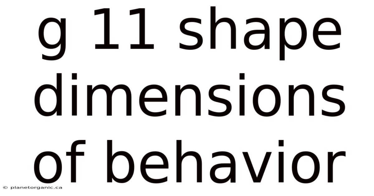 G 11 Shape Dimensions Of Behavior