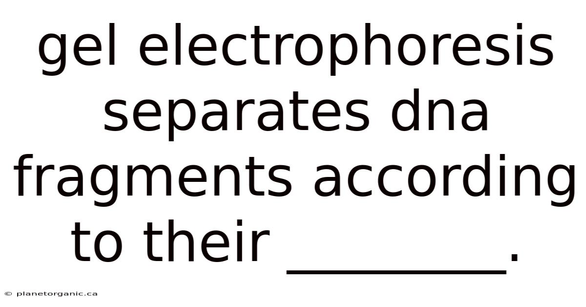 Gel Electrophoresis Separates Dna Fragments According To Their ________.