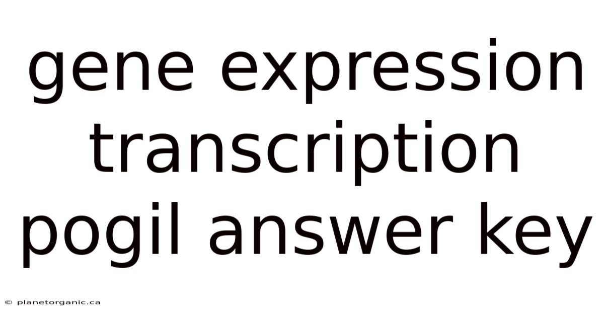 Gene Expression Transcription Pogil Answer Key