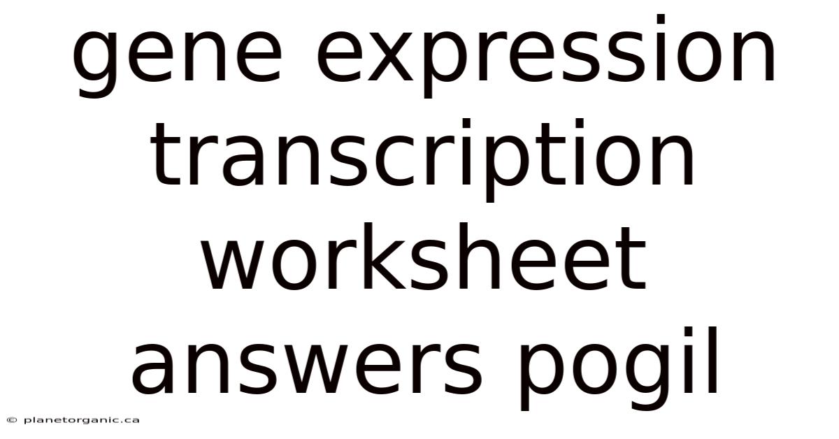 Gene Expression Transcription Worksheet Answers Pogil