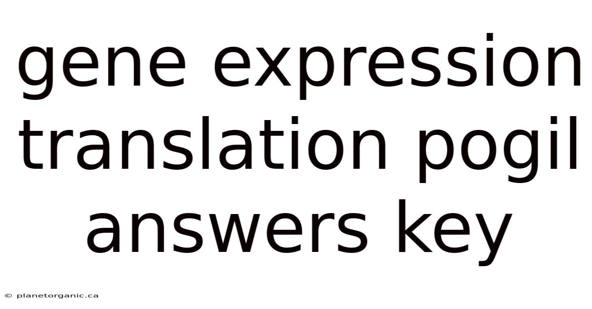 Gene Expression Translation Pogil Answers Key