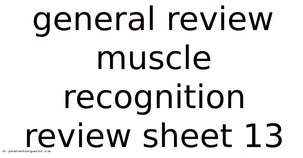 General Review Muscle Recognition Review Sheet 13