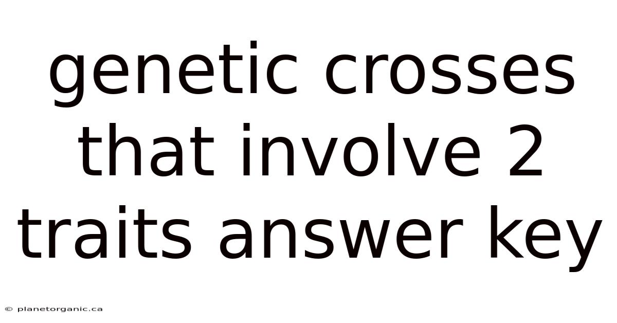 Genetic Crosses That Involve 2 Traits Answer Key