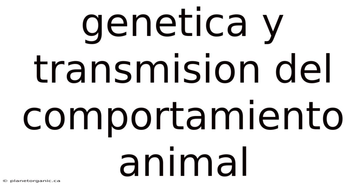 Genetica Y Transmision Del Comportamiento Animal